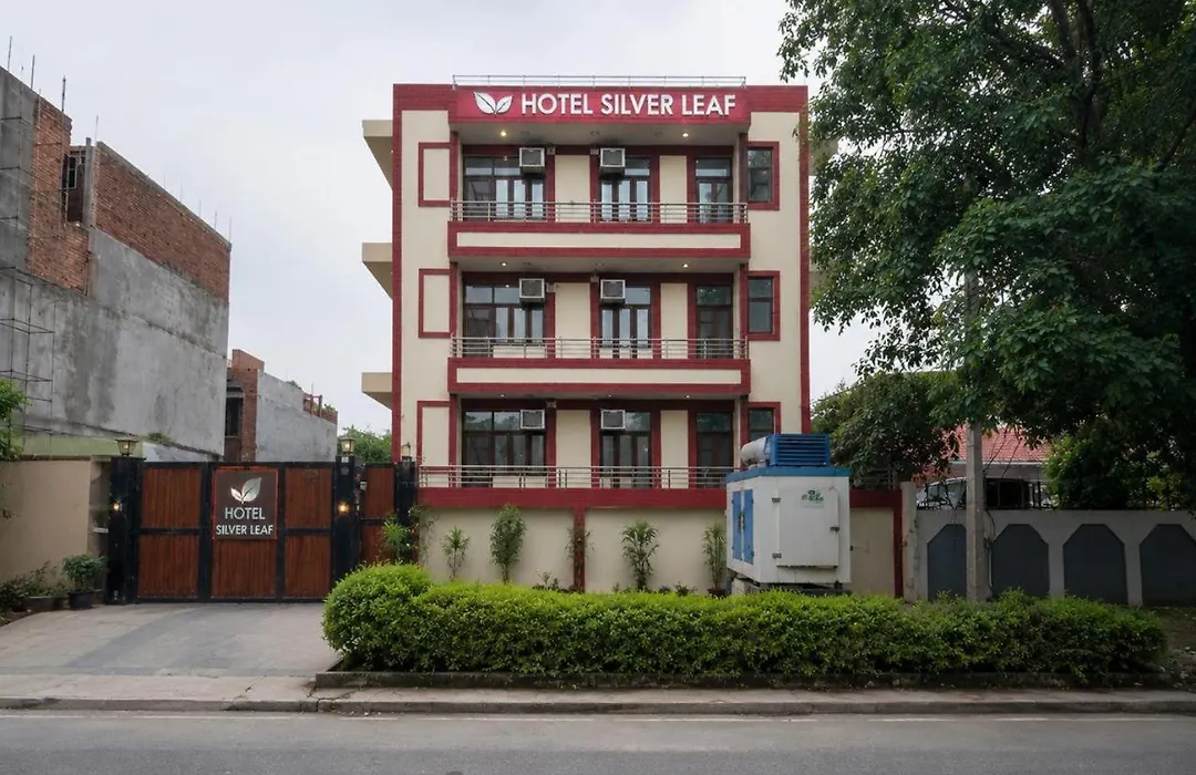 Hotel Silver Leaf, Noida-1